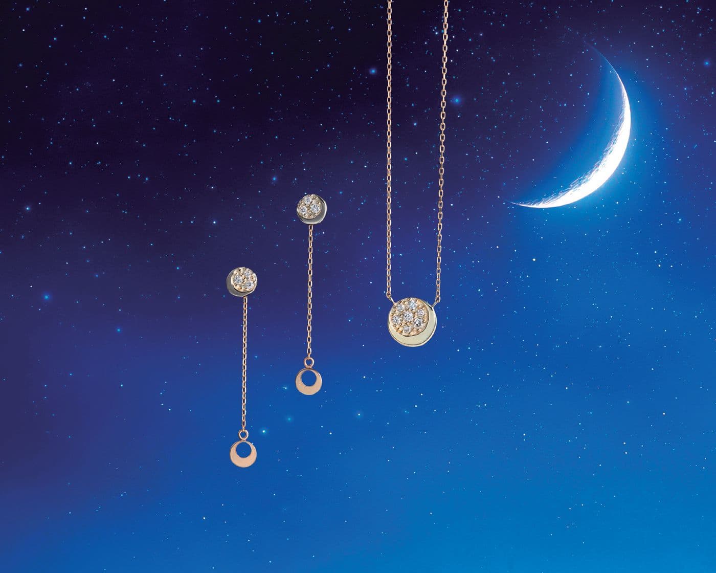 THE MOON/望月 THE MOON/望月