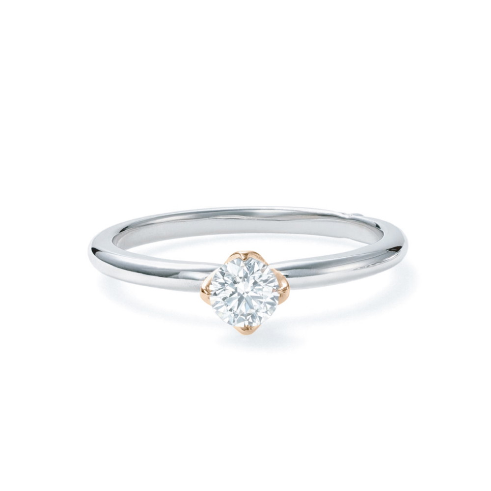 新芽のゆびわ-2 新芽のゆびわ-2