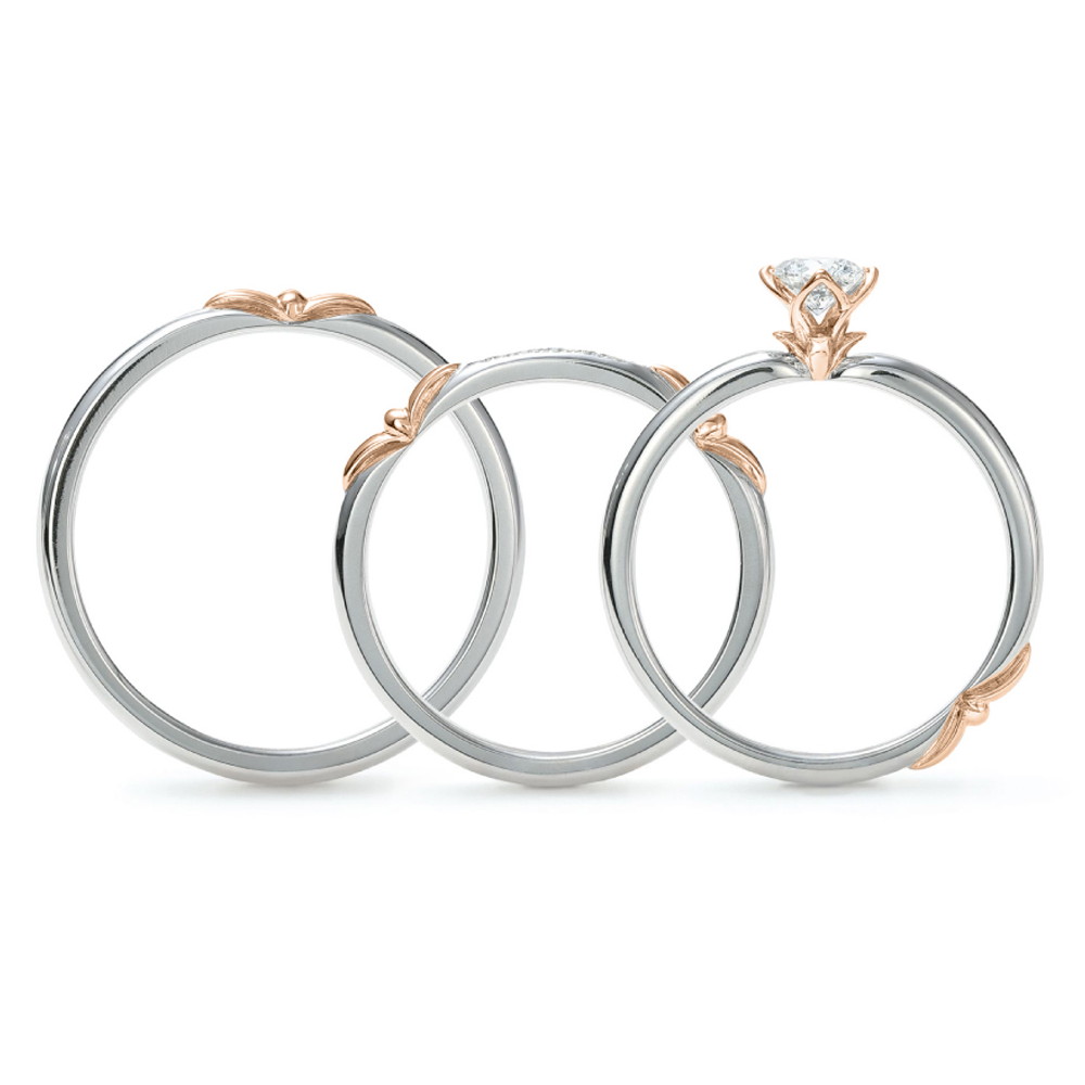 新芽のゆびわ-5 新芽のゆびわ-5