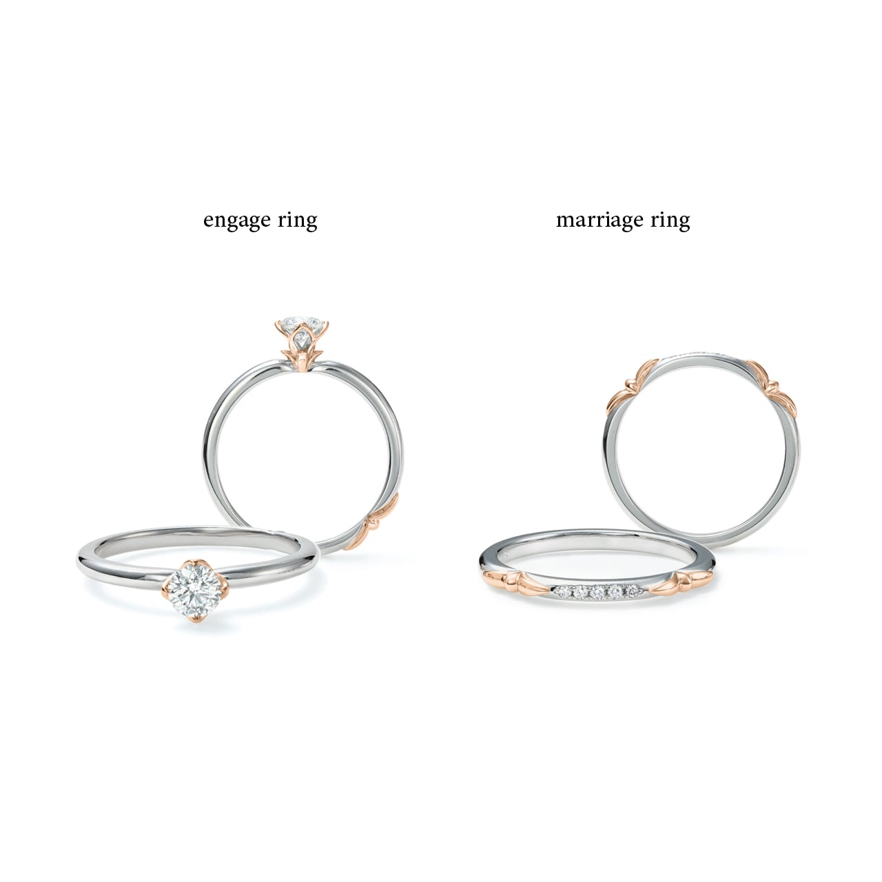 『新芽のゆびわ』セットリング-2