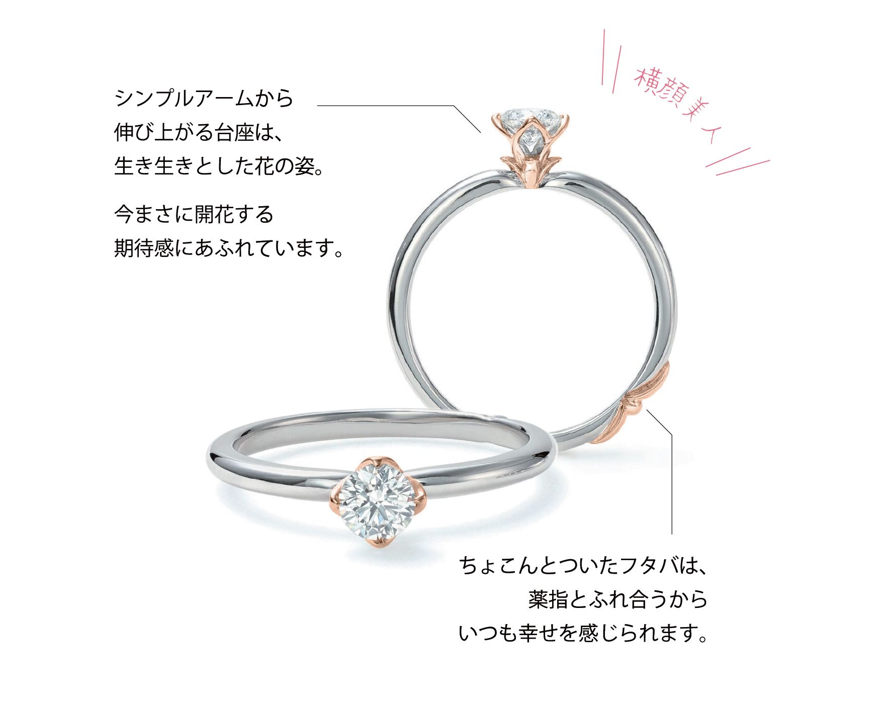 「新芽の指輪」エンゲージリング 「新芽の指輪」エンゲージリング